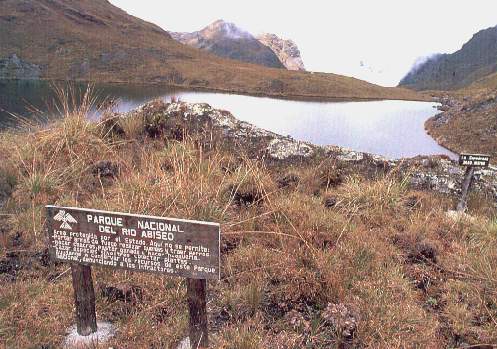 Parq Nac del Rio Abiseo.jpg (41388 bytes)