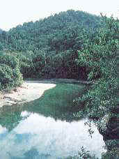 IMG99329160708A.jpg (8144 bytes)