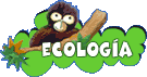 eco1.gif (3276 bytes)