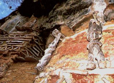 pinchudos2.jpg (27346 bytes)