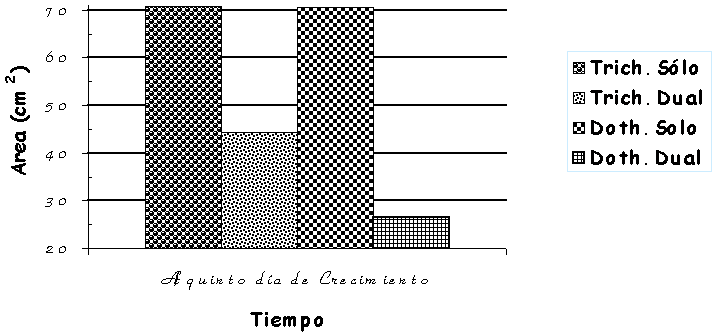 control3.gif (9821 bytes)