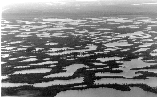 photo made out of a helicopter,   112 kB