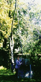 simply constructed shallow well in a village street  -  64 kB