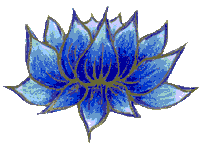 blue lotus 