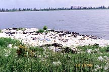 toxic waste near waterways