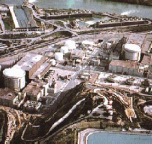 asco5.jpg (25784 bytes)