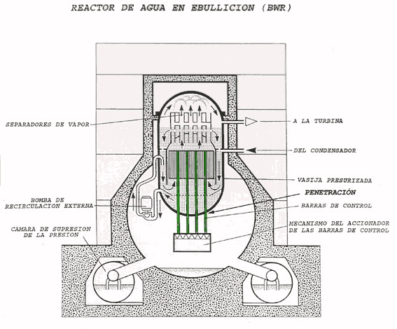 bwr2.gif (37770 bytes)