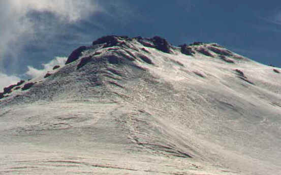 cabezamenor.jpg (97875 bytes)