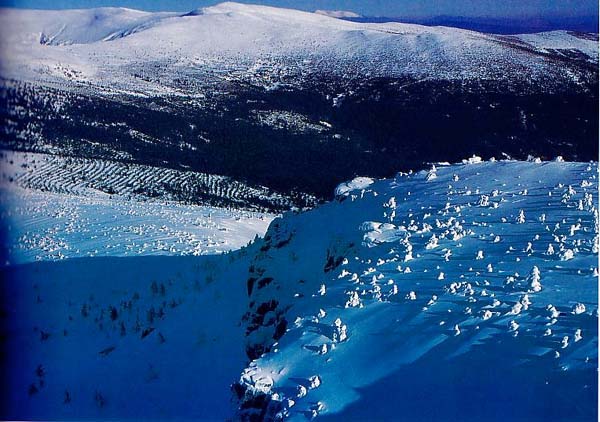cebolleranevado.jpg (72407 bytes)