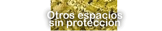 espaciossinprotecc.gif (11256 bytes)