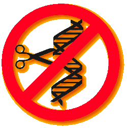 genetica.gif (13265 bytes)