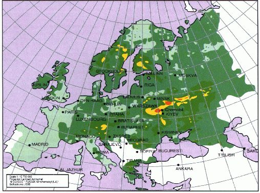 mapa.gif (114819 bytes)