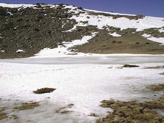 p5.jpg (48271 bytes)