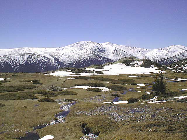p6.jpg (53257 bytes)