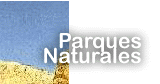 parajesnat.gif (6713 bytes)