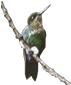 INDICE 