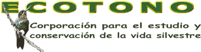 INDICE PRINCIPAL