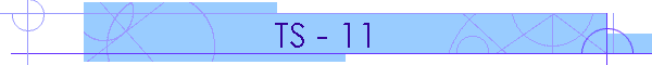 TS - 11