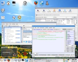 Gentoo.jpg