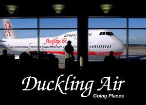 Duckling Air