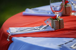 Place setting