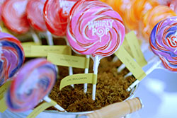 Whirlypop seating assignments
