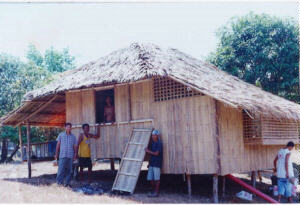 nipa
