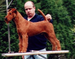 Edbrios Aonghus