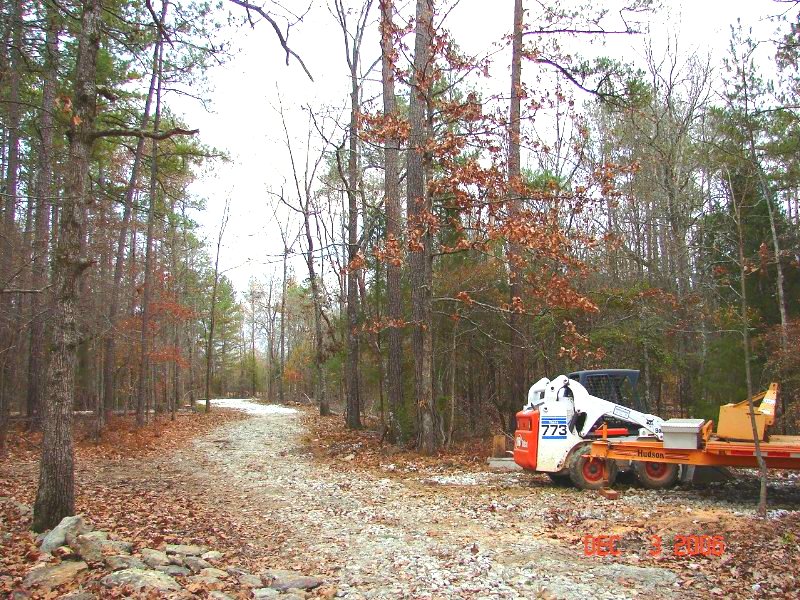 Pine stump removed from right side, several trees removed from left side.