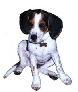 Rueben as a youngster