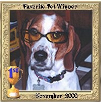 Voted smartest in class November 2000