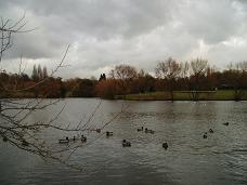 Picture of Lake Meadows, Billericay