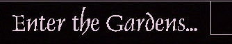 The Gardens- EDEN gallery in the making.