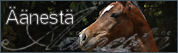 Piditk�? ��nest� meit� yl�sp�in listalla!