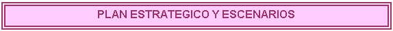 Cuadro de texto: PLAN ESTRATEGICO Y ESCENARIOS

