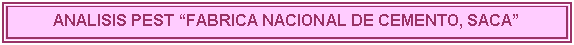 Cuadro de texto: ANALISIS PEST �FABRICA NACIONAL DE CEMENTO, SACA�

