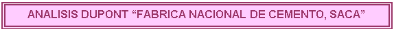 Cuadro de texto: ANALISIS DUPONT �FABRICA NACIONAL DE CEMENTO, SACA�

