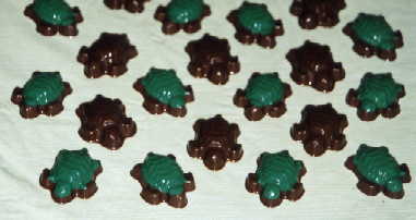 Green Turtles