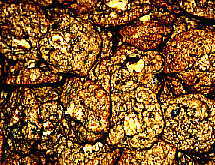 Oatmeal Walnut Raisin Cookies