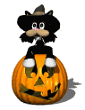 Halloween Cat