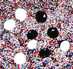 Regular Non Pareils