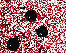 Chocolate Non Pareils