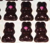 Bite Size Bunnies with Pink Noses