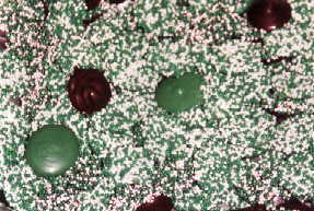 Green NonPareils