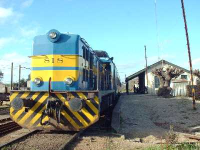 Tren detenido en estaci�n Progreso. (Foto M. Benoit)