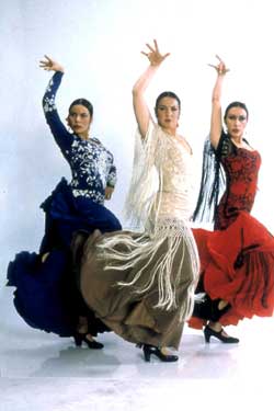 flamenco