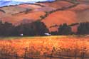 fallcolors