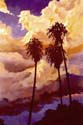 palms