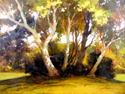 PicnicPlace