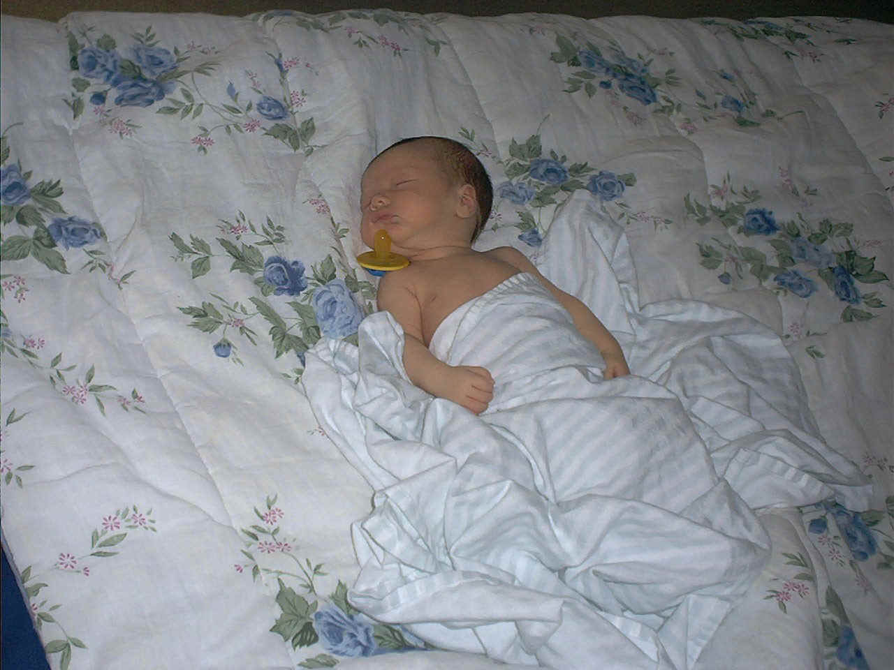 Zzzzzz